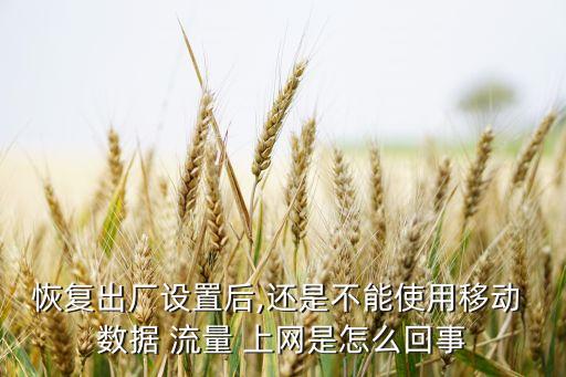 恢復(fù)出廠設(shè)置后,還是不能使用移動 數(shù)據(jù) 流量 上網(wǎng)是怎么回事