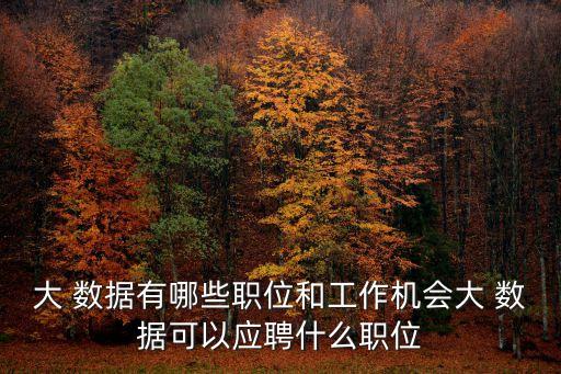 大 數(shù)據(jù)有哪些職位和工作機會大 數(shù)據(jù)可以應聘什么職位