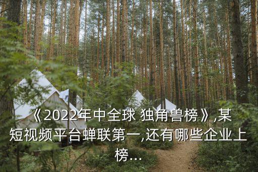 《2022年中全球 獨角獸榜》,某短視頻平臺蟬聯(lián)第一,還有哪些企業(yè)上榜...