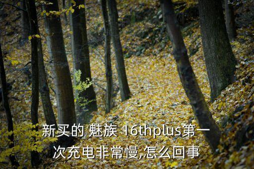 新買的 魅族 16thplus第一次充電非常慢,怎么回事