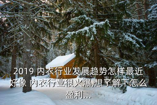 2019 內(nèi)衣行業(yè)發(fā)展趨勢怎樣最近好像 內(nèi)衣行業(yè)很火爆,想了解下怎么盈利...