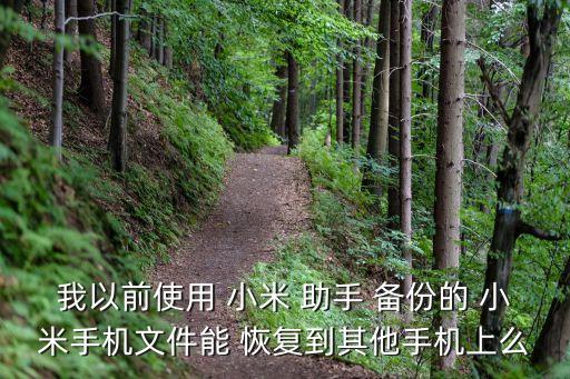 我以前使用 小米 助手 備份的 小米手機(jī)文件能 恢復(fù)到其他手機(jī)上么