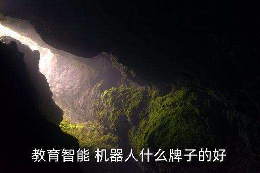 特奧機(jī)器人上央視,鋼琴機(jī)器人特奧簡(jiǎn)介
