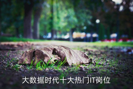 大數(shù)據(jù)時(shí)代十大熱門IT崗位