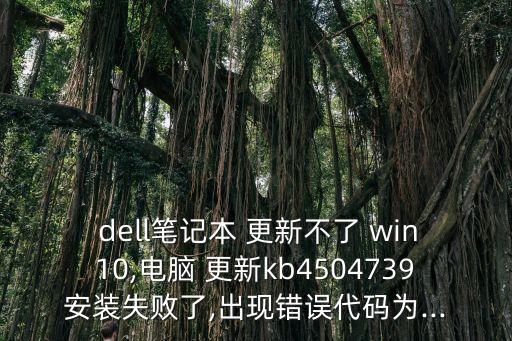  dell筆記本 更新不了 win10,電腦 更新kb4504739安裝失敗了,出現(xiàn)錯誤代碼為...