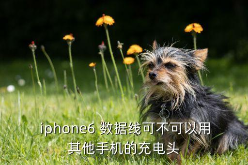  iphone6 數據線可不可以用其他手機的充電頭