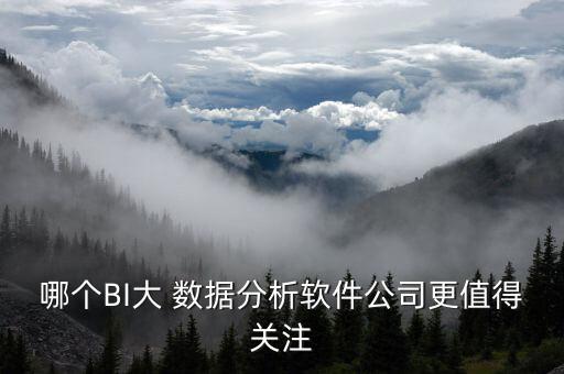 哪個BI大 數(shù)據(jù)分析軟件公司更值得關(guān)注