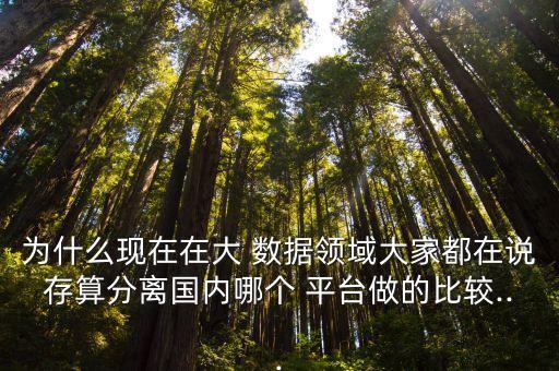 為什么現(xiàn)在在大 數(shù)據(jù)領域大家都在說存算分離國內(nèi)哪個 平臺做的比較...
