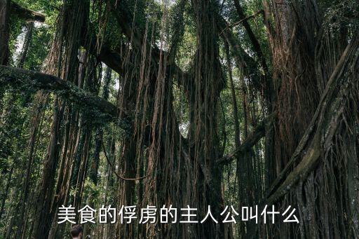 秒殺機(jī)器人,自動(dòng)搶單app