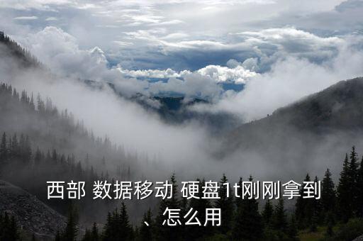 新買的西部數(shù)據(jù)移動硬盤