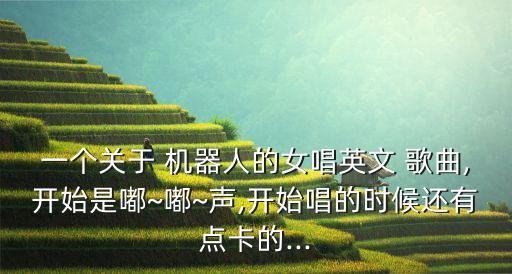一個(gè)關(guān)于 機(jī)器人的女唱英文 歌曲,開始是嘟~嘟~聲,開始唱的時(shí)候還有點(diǎn)卡的...