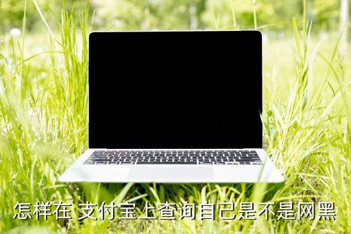 支付寶查網(wǎng)絡(luò)大數(shù)據(jù)庫(kù),網(wǎng)絡(luò)查控微信支付寶