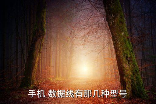 蘋(píng)果數(shù)據(jù)線接口名稱,蘋(píng)果14數(shù)據(jù)線是什么接口