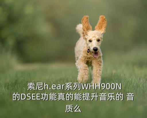 索尼音質(zhì)自動(dòng)優(yōu)化,索尼自動(dòng)降噪功能可自動(dòng)檢測(cè)活動(dòng)狀態(tài)