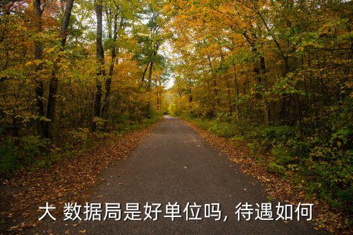 大 數(shù)據(jù)局是好單位嗎, 待遇如何