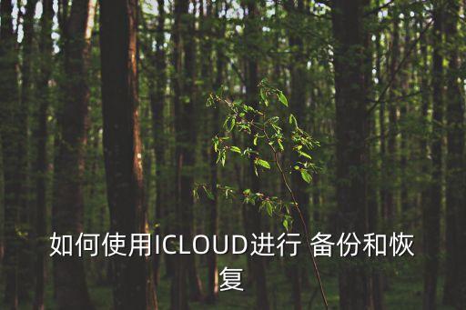 icloud 備份數(shù)據(jù),蘋果手機(jī)怎么恢復(fù)icloud備份數(shù)據(jù)