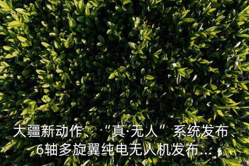 大疆新動作、“真·無人”系統(tǒng)發(fā)布、6軸多旋翼純電無人機(jī)發(fā)布…