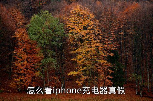 怎么看iphone充電器真假