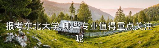報考東北大學(xué),哪些專業(yè)值得重點關(guān)注呢