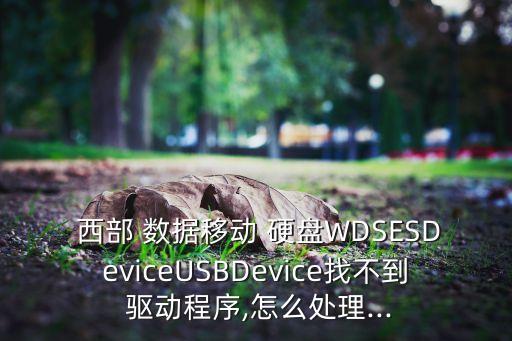  西部 數(shù)據(jù)移動(dòng) 硬盤WDSESDeviceUSBDevice找不到 驅(qū)動(dòng)程序,怎么處理...