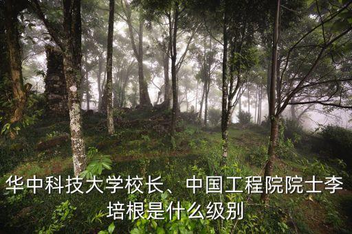 華中科技大學(xué)校長、中國工程院院士李培根是什么級(jí)別