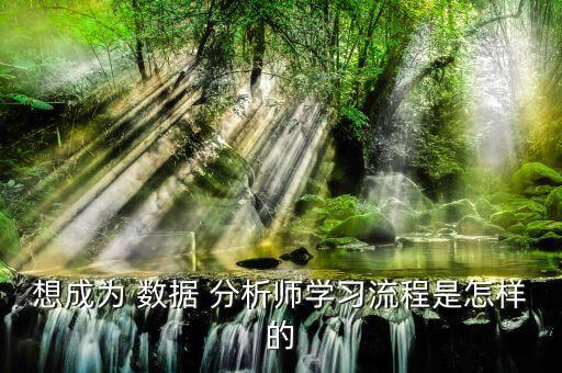 數(shù)據(jù)分析師如何自學(xué)