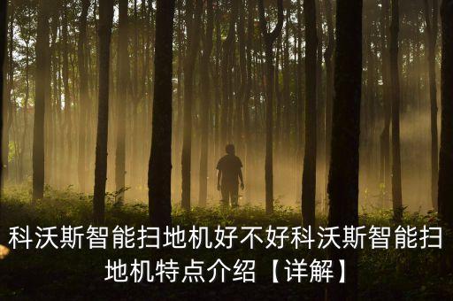 科沃斯智能掃地機好不好科沃斯智能掃地機特點介紹【詳解】