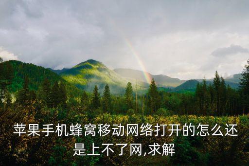 蘋果手機(jī)蜂窩移動網(wǎng)絡(luò)打開的怎么還是上不了網(wǎng),求解