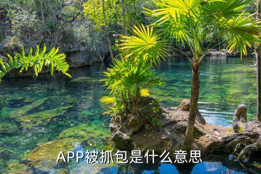 APP被抓包是什么意思
