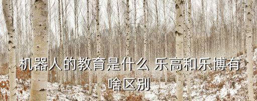  機(jī)器人的教育是什么 樂高和樂博有啥區(qū)別