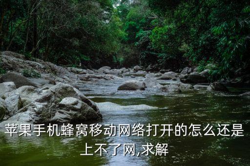窩蜂移動(dòng)數(shù)據(jù) 系統(tǒng)服務(wù) 通用,移動(dòng)蜂窩數(shù)據(jù) 關(guān)閉 系統(tǒng)服務(wù)