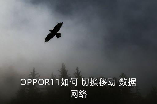 OPPOR11如何 切換移動(dòng) 數(shù)據(jù)網(wǎng)絡(luò)