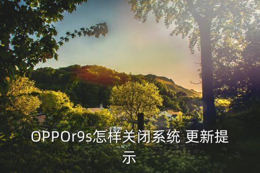OPPOr9s怎樣關(guān)閉系統(tǒng) 更新提示
