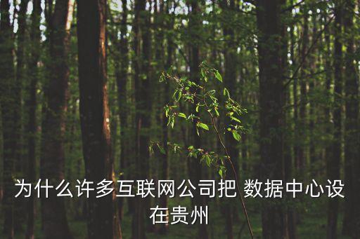 為什么許多互聯(lián)網(wǎng)公司把 數(shù)據(jù)中心設(shè)在貴州