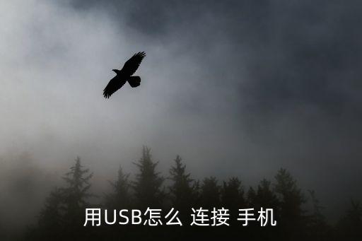 如何用數(shù)據(jù)線連接手機(jī)
