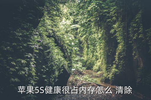 蘋果5S健康很占內(nèi)存怎么 清除