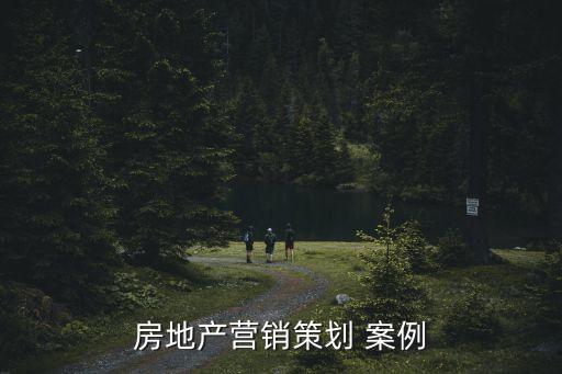 房地產(chǎn)營銷策劃 案例