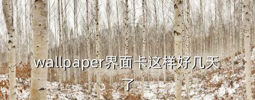 wallpaper界面卡這樣好幾天了