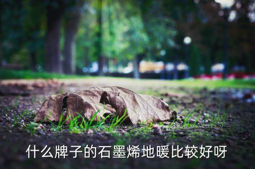 烯牛數(shù)據(jù)招聘