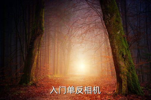 入門單反相機