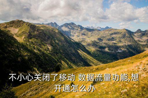 手機(jī)設(shè)置開通數(shù)據(jù)服務(wù),關(guān)閉手機(jī)數(shù)據(jù)服務(wù)