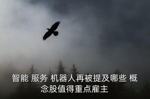 智能 服務 機器人再被提及哪些 概念股值得重點雇主