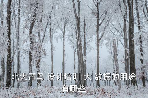 設(shè)計(jì)大數(shù)據(jù)