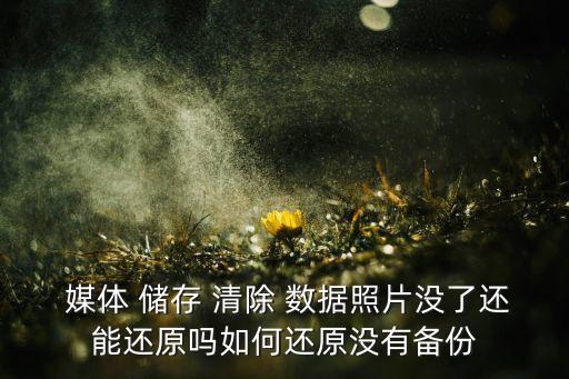 媒體儲(chǔ)存清除數(shù)據(jù),手機(jī)里儲(chǔ)存空間的數(shù)據(jù)可以清除嗎?