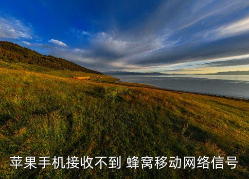 越獄之后沒有蜂窩數(shù)據(jù),越獄后無法蜂窩數(shù)據(jù)網絡