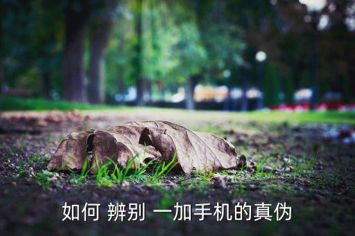 如何 辨別 一加手機(jī)的真?zhèn)? class=