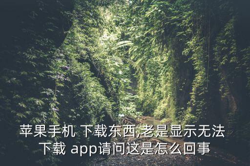 蘋果手機 下載東西,老是顯示無法 下載 app請問這是怎么回事