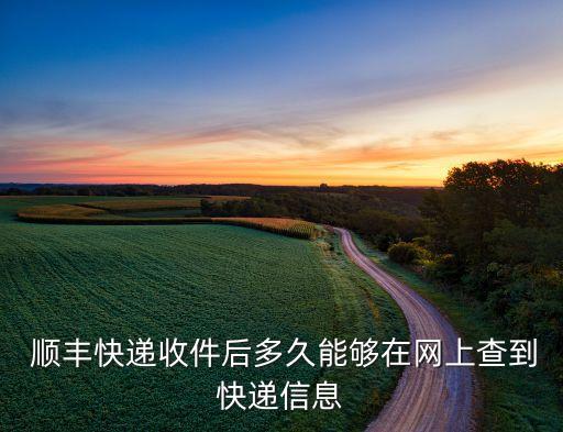  順豐快遞收件后多久能夠在網(wǎng)上查到快遞信息
