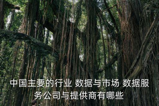 大數(shù)據(jù) 國(guó)內(nèi)企業(yè),北京大數(shù)據(jù)企業(yè)