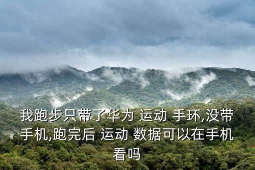 我跑步只帶了華為 運(yùn)動(dòng) 手環(huán),沒帶手機(jī),跑完后 運(yùn)動(dòng) 數(shù)據(jù)可以在手機(jī)看嗎